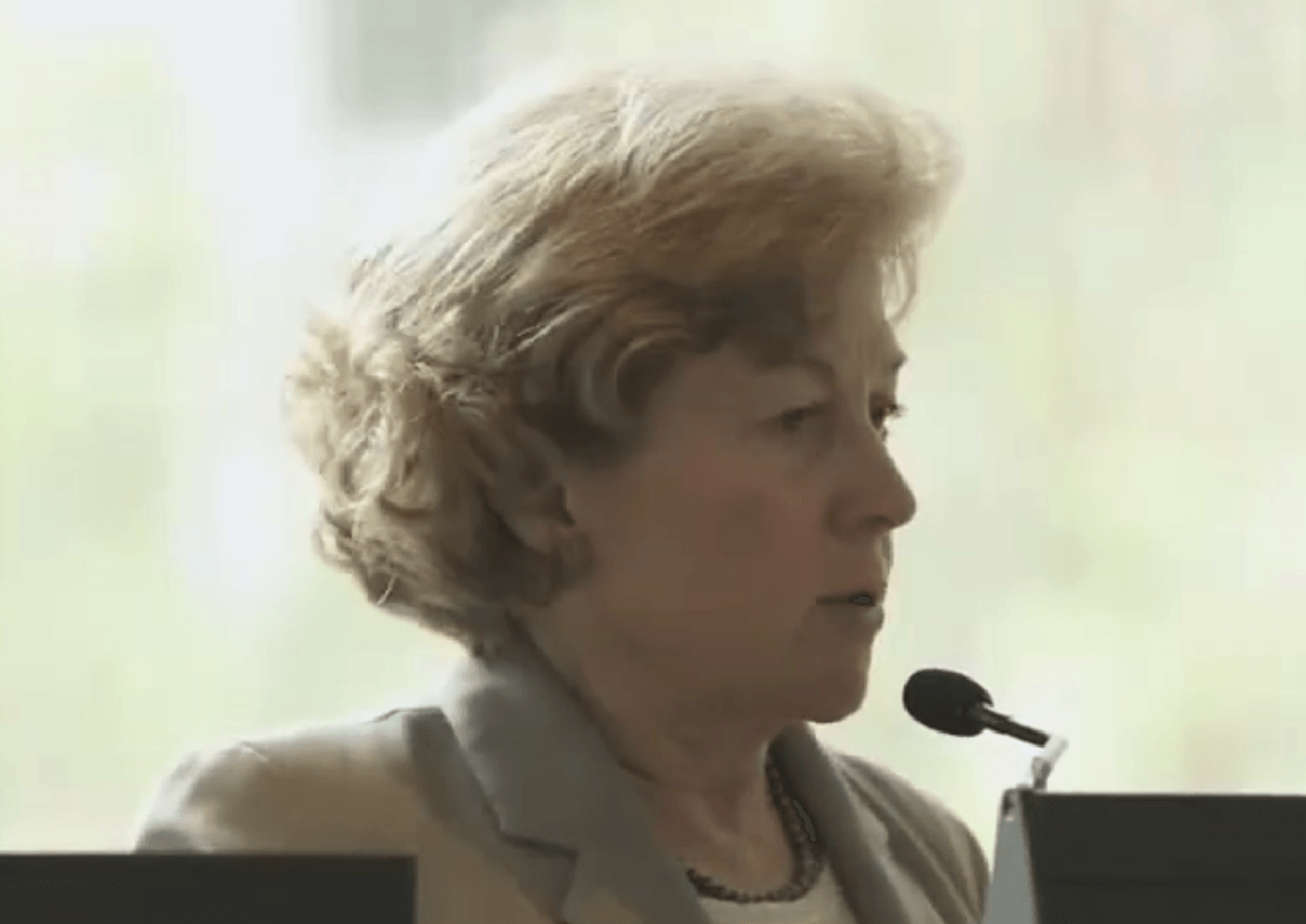 Dr. Mary Flynn speaking at a conference